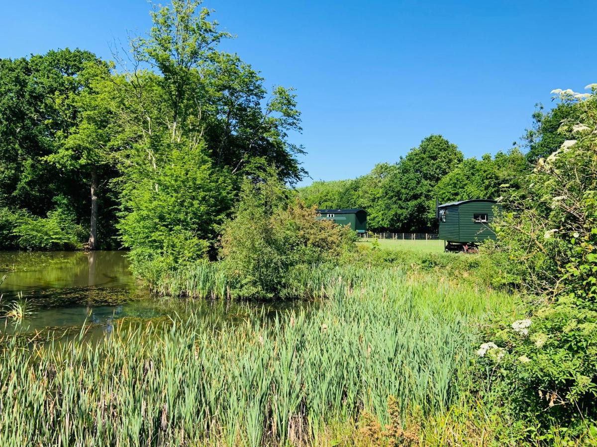 The Big Green Shepherds Hut تشارلوود المظهر الخارجي الصورة