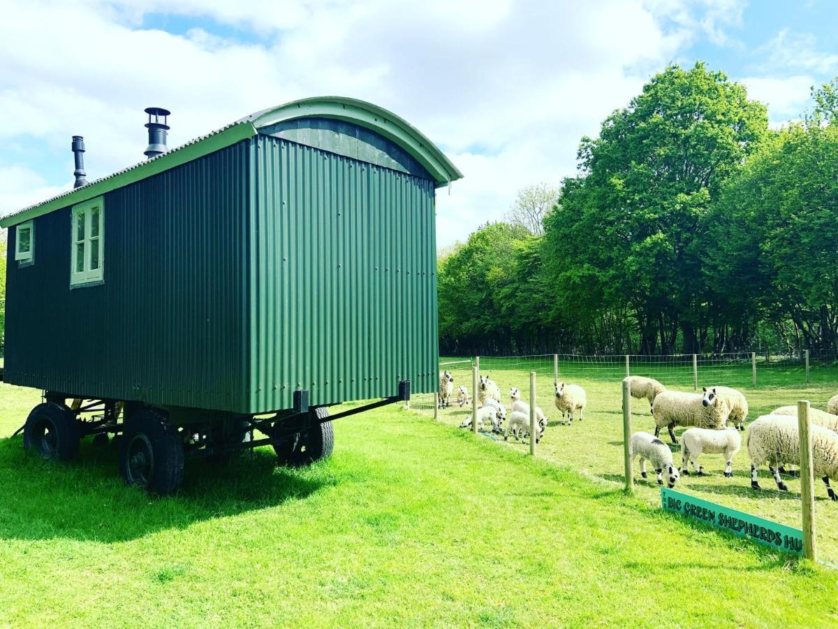 The Big Green Shepherds Hut تشارلوود المظهر الخارجي الصورة