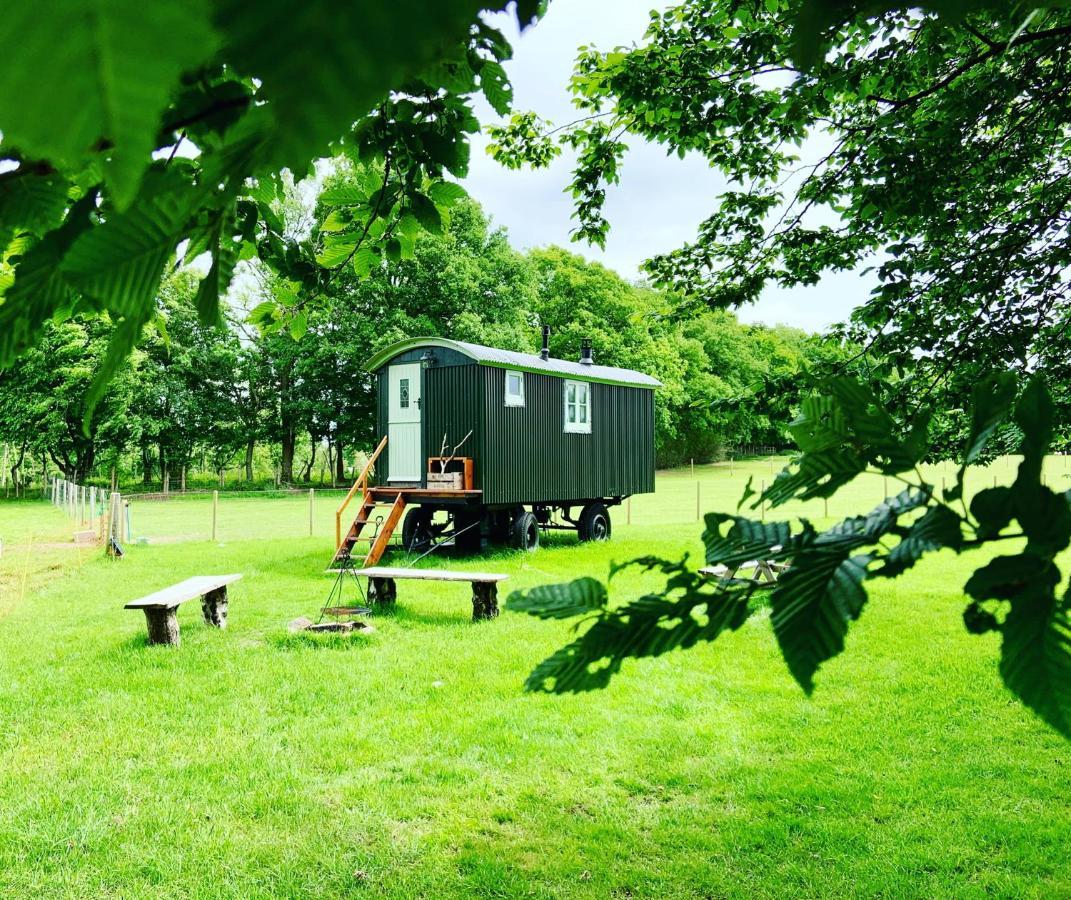 The Big Green Shepherds Hut تشارلوود المظهر الخارجي الصورة